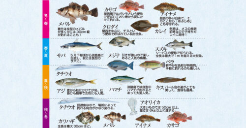 淡路島の釣り対象魚