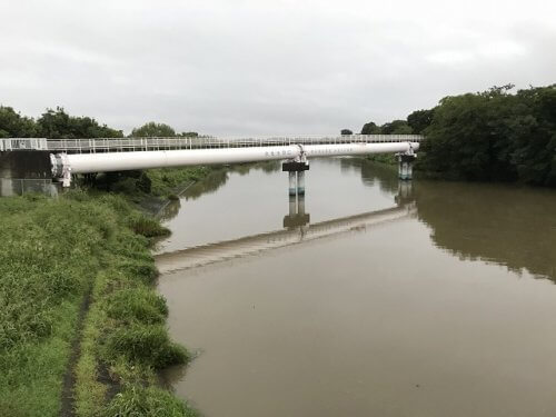 びん沼川の釣りポイントを紹介 ヘラブナもバスも魚影が濃い 釣りウォーカー