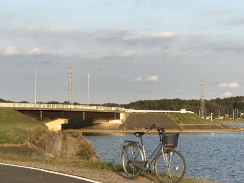 霞ヶ浦一周制覇 おかっぱりバス釣りポイント15選 釣りウォーカー