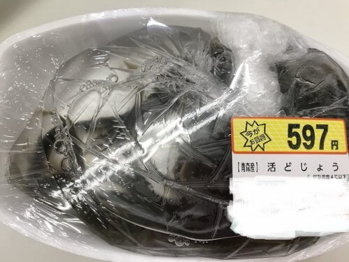 どじょう料理 どじょうの食べ方と下処理の方法 釣りウォーカー