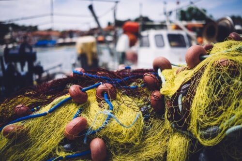 fish sale