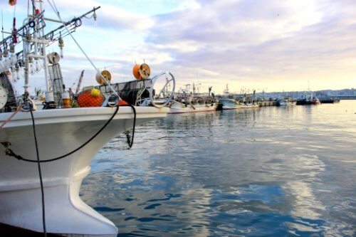 宮城の大型漁礁】沖メバル&カレイの釣り方と釣果報告