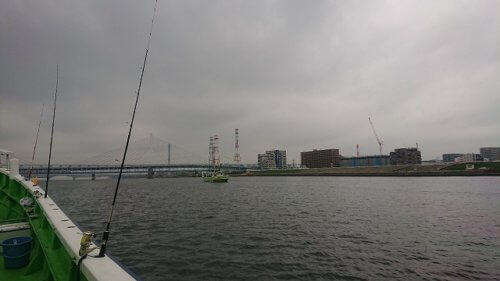 東京湾のシロギス釣り