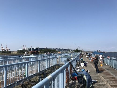 大黒ふ頭海釣り公園