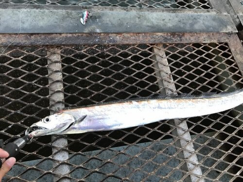 大黒ふ頭海釣り公園