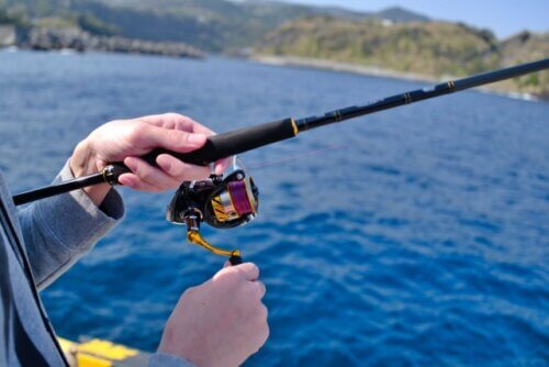 フロートリグ アジング メバリングで遠投して釣果を伸ばす 釣りウォーカー