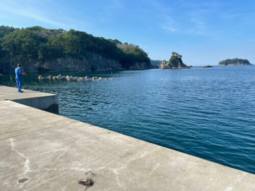 蛸の浜漁港(岩手県宮古市)